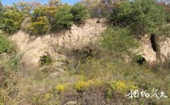 延安子午岭国家级自然保护区旅游攻略之八面窑遗址
