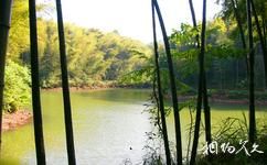 泸州佛宝旅游攻略之玉兰山风景区五