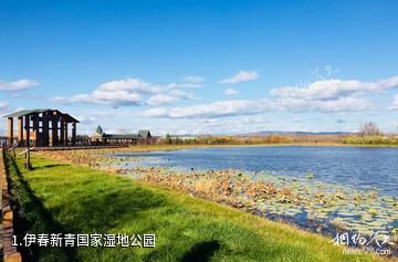 伊春新青国家湿地公园照片