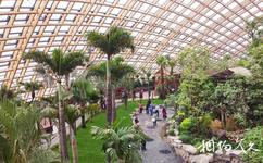 太原植物园旅游攻略之热带雨林馆