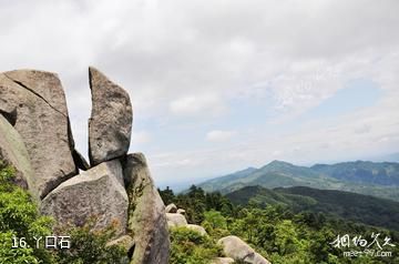 高安华林寨上游湖风景区-丫口石照片