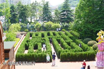 杭州爛蘋果樂園-植物迷宮照片