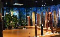 上海木文化博物馆旅游攻略之红木