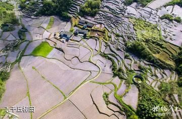黔江水车坪景区-千丘梯田照片