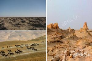 新疆阿克蘇巴音郭楞蒙古若羌旅遊景點大全