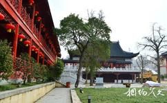 南京毗盧寺旅遊攻略之古樹