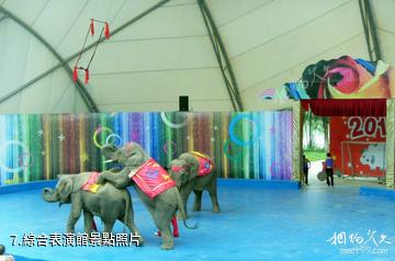 東莞香市動物園-綜合表演館照片