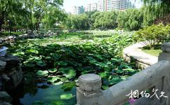 北京龙潭公园旅游攻略之荷塘花屿