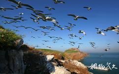 山东威海海驴岛旅游攻略之观鸟台