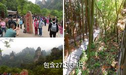 张家界索溪峪驴友相册