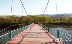 依兰巴兰河漂流旅游攻略之吊桥