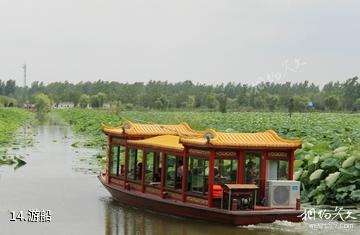 淮安金湖荷花荡景区-游船照片