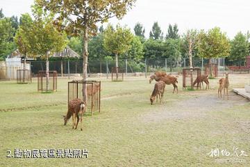 淄博動物園-動物展覽區照片