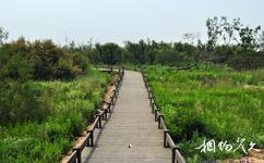 樂亭菩提島旅遊攻略之國際觀鳥基地