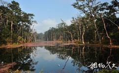 尼泊爾奇特旺國家森林公園旅遊攻略之奇特旺國家森林公園