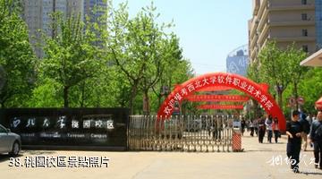 西北大學-桃園校區照片