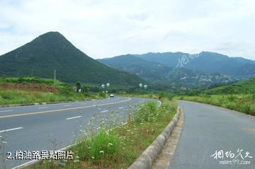 貴州松桃潛龍洞-柏油路照片