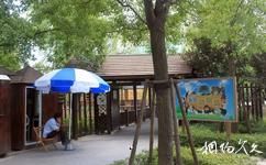 上海和平公園旅遊攻略之動物觀賞區