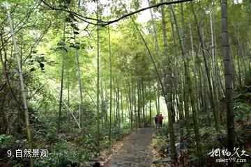 江永千家峒风景区-自然景观照片