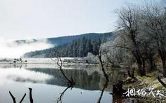 保山北庙湖公园旅游攻略之北庙湖的冬天