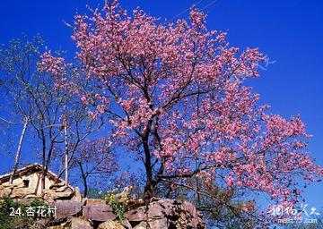 荥阳环翠峪风景区-杏花村照片