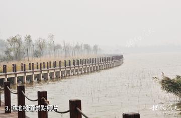 高唐雙海湖風景區-濕地棧道照片