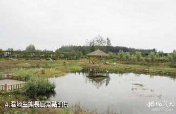 棗莊山亭月亮灣濕地旅遊區-濕地生態長廊照片