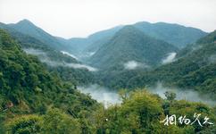 云南黄连山国家级自然保护区旅游攻略