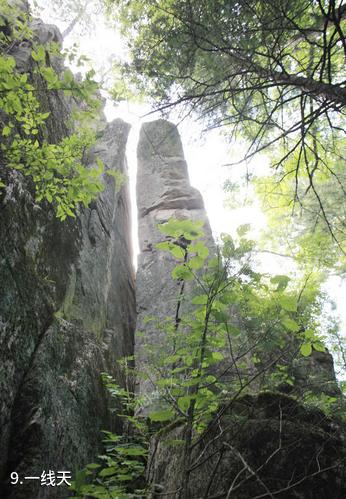 森工清河林区旅游景区-一线天照片