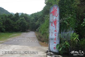 桂平龍潭國家森林公園-龍潭國家森林公園照片