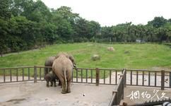 重慶動物園旅遊攻略之大象館