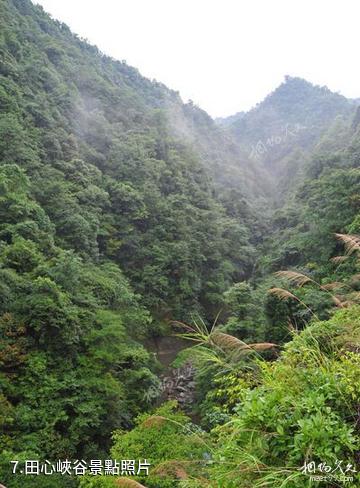 江西九連山國家森林公園-田心峽谷照片