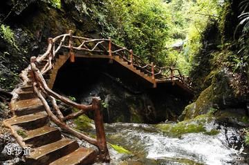 安康双龙生态旅游度假区-步道照片