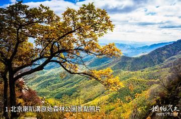 北京喇叭溝原始森林公園照片
