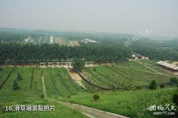 鄭州金鷺鴕鳥遊樂園-滑草場照片
