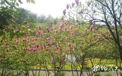 重慶黃水藥用植物園旅遊攻略之黃水藥用植物園