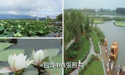 鐵嶺蓮花湖濕地公園驢友相冊