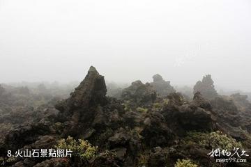 紐西蘭湯加里羅國家公園-火山石照片