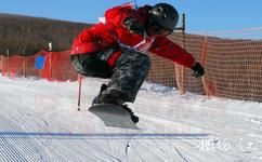 牙克石凤凰山滑雪场旅游攻略之滑板