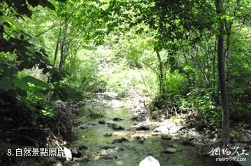吉林天佛指山國家級自然保護區-自然照片