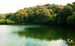 临沧五老山国家森林公园旅游攻略之鹿恋湖