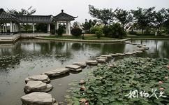 博鳌东方文化苑旅游攻略之莲花池