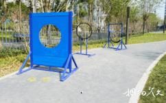 深圳宠物主题公园旅游攻略之训练设施