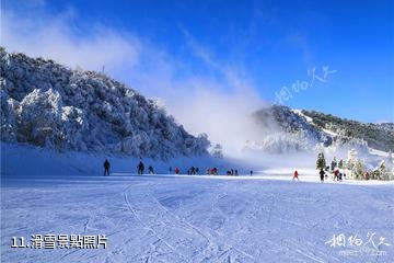 六盤水玉舍國家森林公園-滑雪照片