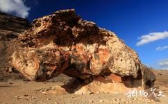索科特拉群岛旅游攻略之怪石