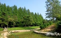 濮陽綠色莊園旅遊攻略之森林娛樂區
