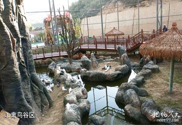 兰州野生动物园-禽鸟谷区照片