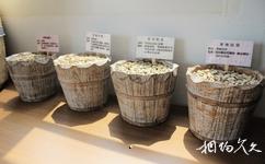 台湾彰化大村进昌咖啡烘焙馆旅游攻略之咖啡豆