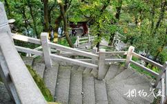 温州中山公园旅游攻略之台阶