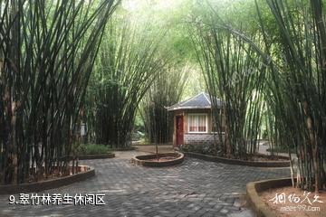 清远洞天仙境生态旅游度假区-翠竹林养生休闲区照片